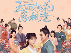 玉面桃花总相逢 张含韵