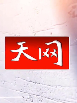 天网